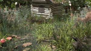 Избушка на курьих ножках.