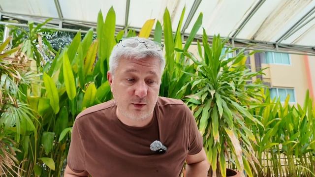 Lively Gaming Legends