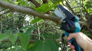 Электросучкорез в действии