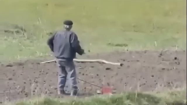 Дед в отрыве. смотреть онлайн