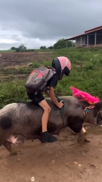 Коротко о том, как во вьетнамской деревне дети добираются до школы. смотреть онлайн