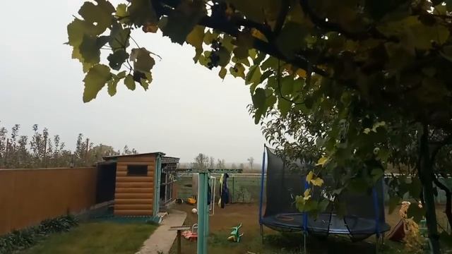 ♥Хуторянка ✔ГРИШЕ ПРИШЛО ПИСЬМО ✔СУП С ЧЕЧЕВИЦЕЙ ✔ГОТОВИМСЯ В РОСТОВ ✔ 10 НОЯБРЯ 2018 смотреть онлайн