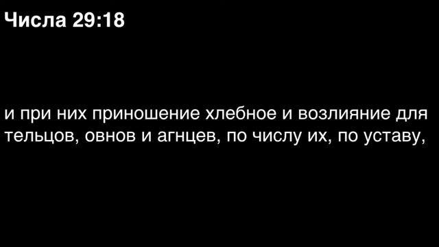 Числа, глава 29 смотреть онлайн