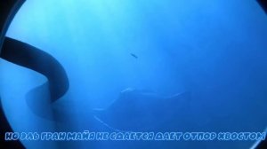 Песня Клип про Блуп против ЭЛЬ ГРАН МАЙЯ Betsy, Мария Янк?