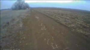 фильм Сталкер Z