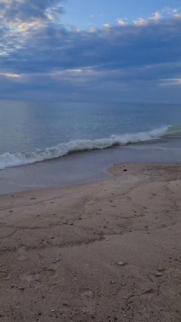 ловим рыбу смотреть онлайн