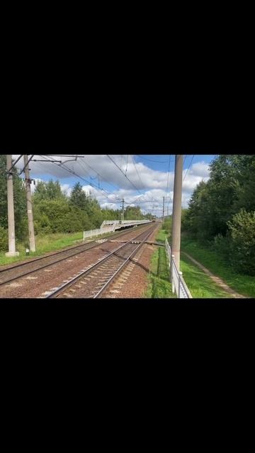 ЦОЙ ЖИВ ! 2ТЭ116 «БТС» проходит платформу Партизанская #train_rus #хаюхай_play #trainz_top #бтс смотреть онлайн