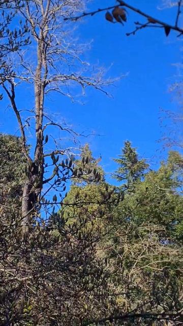 Крутая посадка самолета в февральских субтропиках!) смотреть онлайн