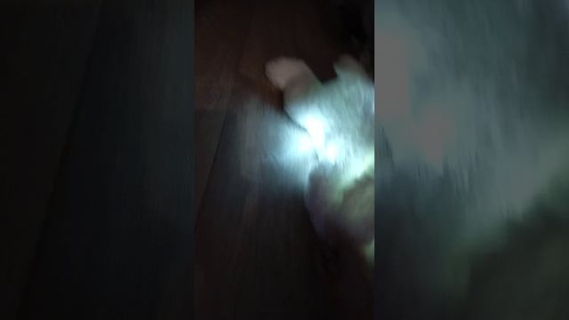 1000032005.mp4 смотреть онлайн