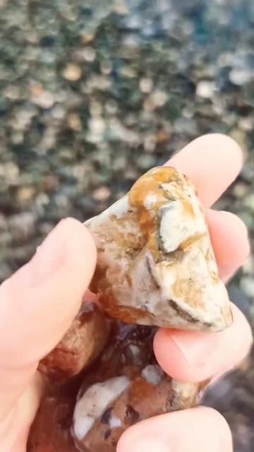 Типичный яшмоид и конгломерат. Обзор камней с пляжа Со смотреть онлайн