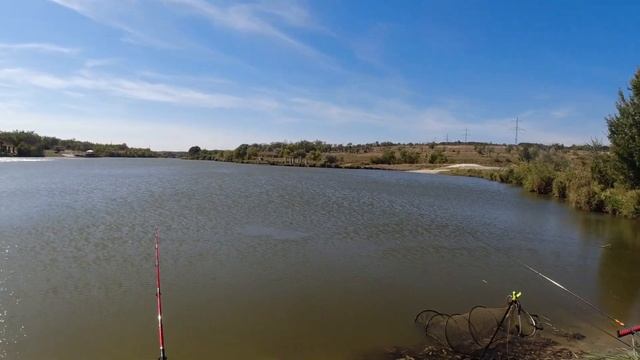 Ловили Толстолобика а пришёл Сазан с Бокорезами смотреть онлайн