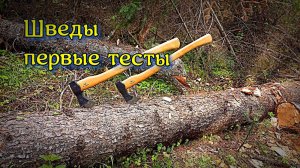 Шведы, первые открытые тесты