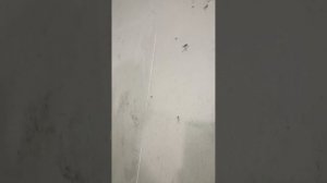 Просроченная штукатурка