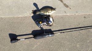 МОРМЫШИНГ. Пруды у метро Тютчевская, утром 25 мая 2025 года