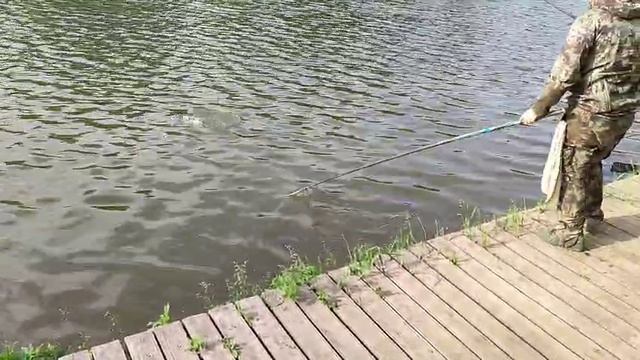 Карпуша смотреть онлайн