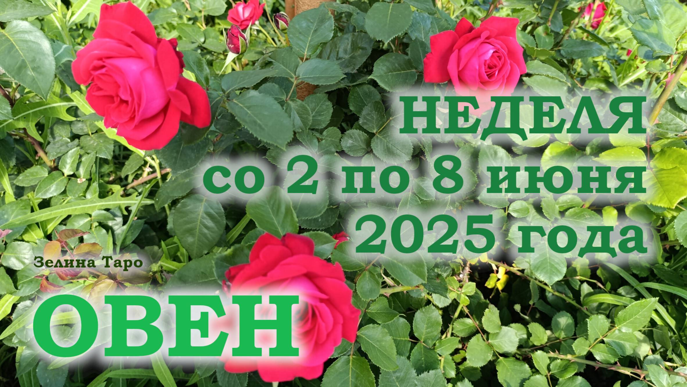 ОВЕН | ТАРО прогноз на неделю со 2 по 8 июня 2025 года