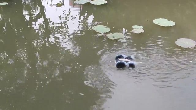 Машинка Amphibious Stunt Car смотреть онлайн