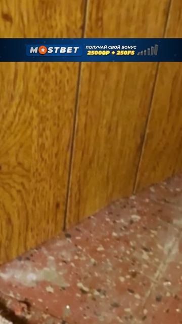 ЭТО САМЫЕ НЕКОМФОРТНЫЕ ФОТО КОТОРЫЕ ВЫ ВИДЕЛИ… смотреть онлайн