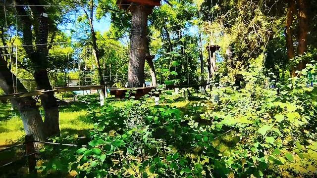 Утром по Аршинцевскому парку смотреть онлайн