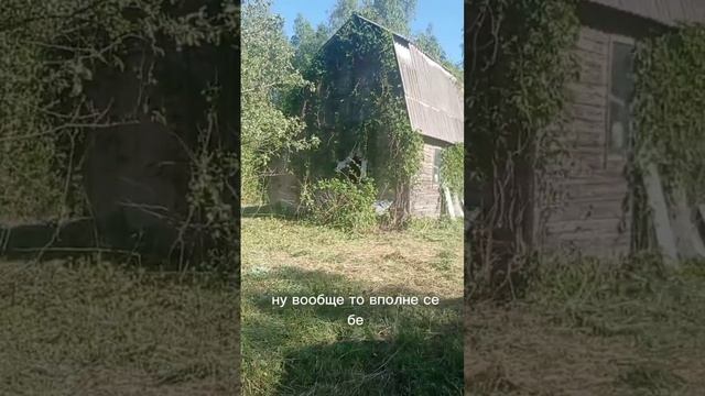 video_2025-06-01_21-44-49 смотреть онлайн