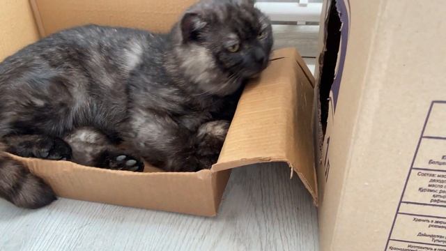 Вечер воскресенья 