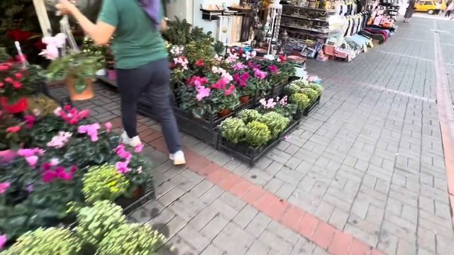 Аланья: летим туда-обратно ✈️ и наслаждаемся пляжами! ️ ВЛОГ смотреть онлайн