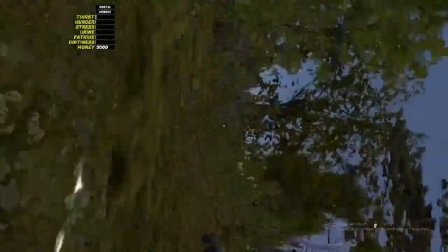 Стрим по My Summer Car