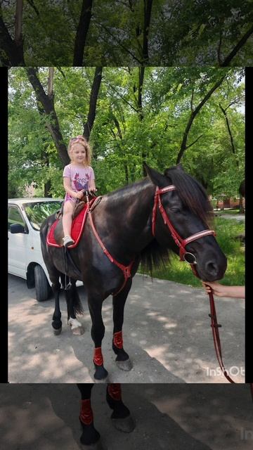 Алиса #МаленькиеПриключенияАлисы