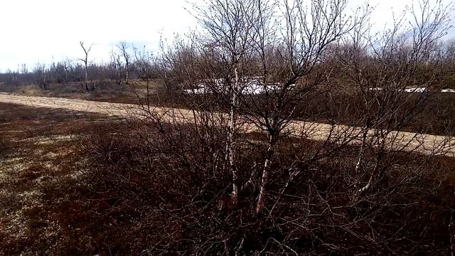 1 Июня 2025 г. смотреть онлайн