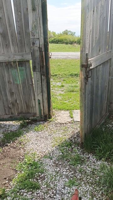 покос травы