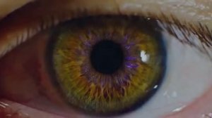 Сноуден (Snowden)