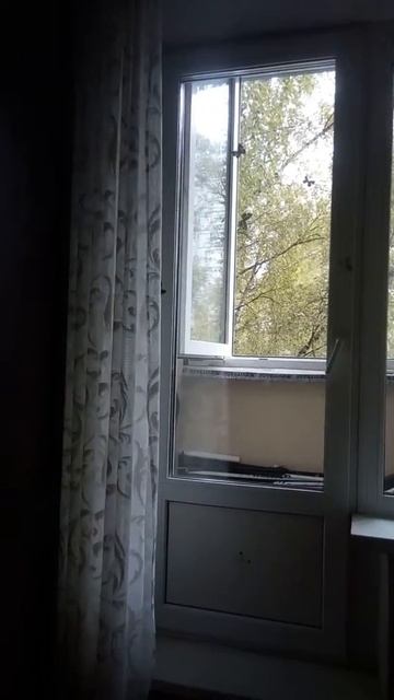 Синица смотреть онлайн