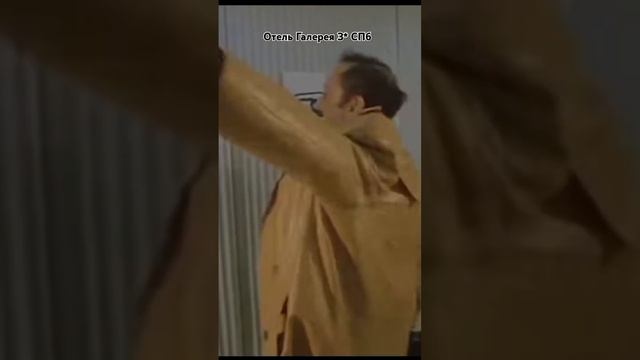 В отеле Галерея 3*, Санкт-Петербург #спб #санктпетербур? смотреть онлайн