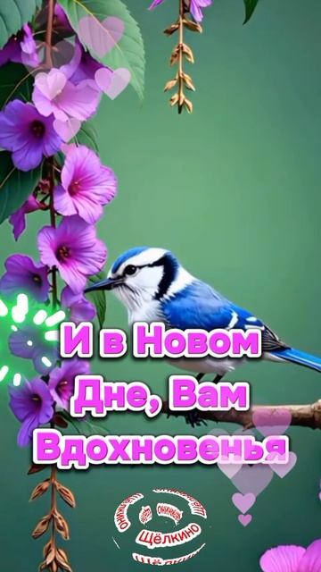 Доброе утро
ВидеОткрытка смотреть онлайн