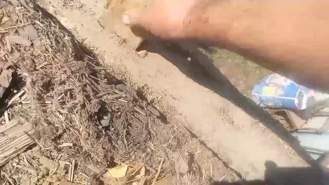 Разборка домика. 1938г постройки смотреть онлайн