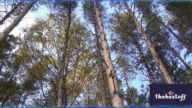 Свобода 5 смотреть онлайн
