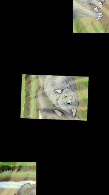 Коты воители Заказ. Крутобок и Серебрянка (Биба и Боба) смотреть онлайн