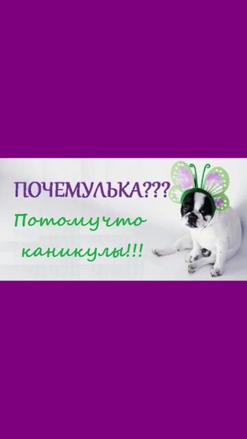 КАНИКУЛЫ! смотреть онлайн