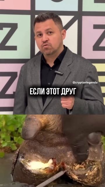 Дроперы рассчитаетесь в коментах, любопытно сколько в смотреть онлайн