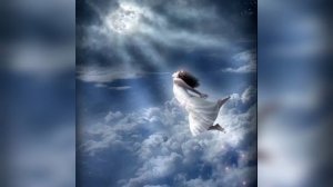 Дидюля "Плечо Ангела"