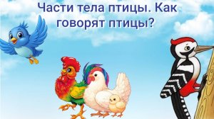 Птицы Части тела Звуки птиц звуки животных как говорят животные как говорят птицы первые слова