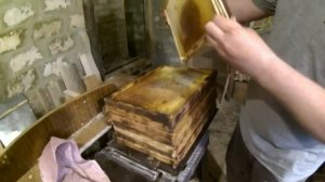 Дезинфекция пчелиных рамок.