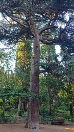 Алушта, август 2024 года. Ателика Карасан 2*