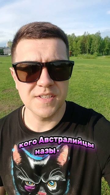 Задача на логику. Как набрать много просмотров. Напрягаем извилины