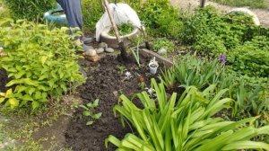 Всё! Работы на даче начались // Боремся с травой