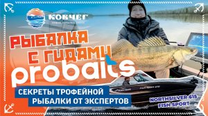 Профессиональный гайдинг от компании Probaits