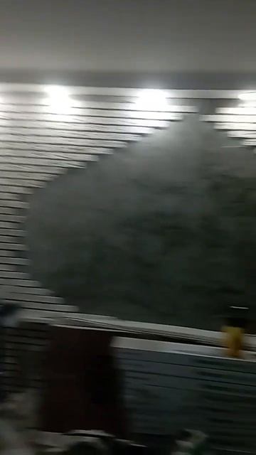 короед, финиш отделки стен)