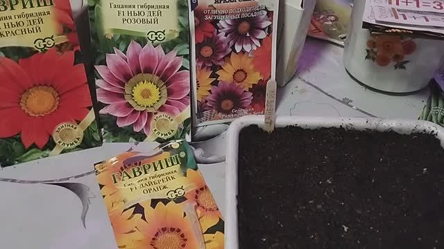 Гацания. Посев. смотреть онлайн