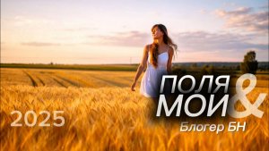 Поля мои - песня Блогера БН