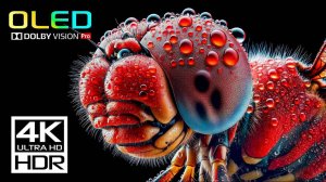 НАСТОЯЩИЙ 4к видео 60fps Video - Dolby Vision (8K ／ 4K TV)